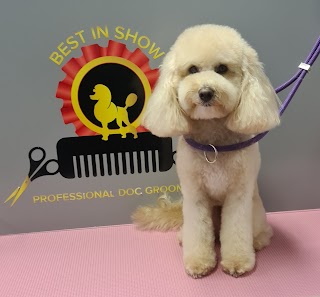 Best In Show Maidstone Professional Dog Grooming