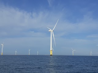 Channel Diving & Rampion Windfarm Trips