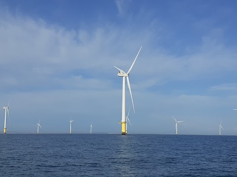 Channel Diving & Rampion Windfarm Trips