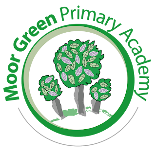 Moor Green Primary Academy