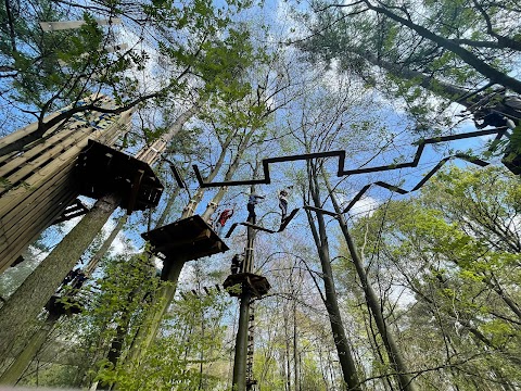 Go Ape Black Park