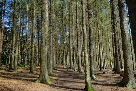 Beecraigs Country Park