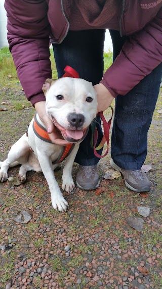 Priory Lodge Kennels