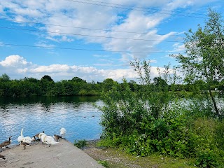 Chorlton Ees Nature Reserve