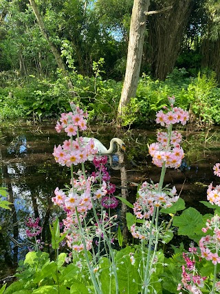 Stonyford Cottage Gardens & Garden Centre