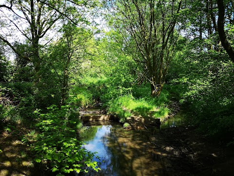 Orrell Water Park