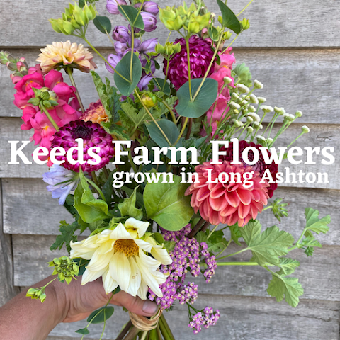 Keeds Farm Flowers
