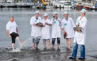 The Fish Market Maynooth