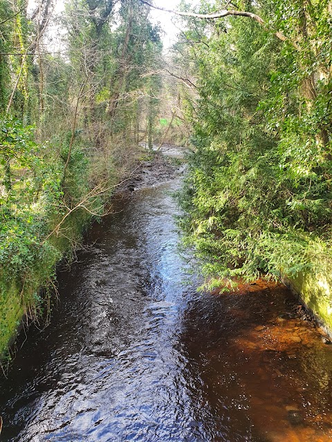 Dovecot Public Park