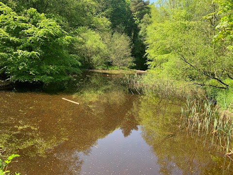 Ogden Water Country Park