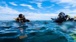 Palaemon Divers - Liverpool