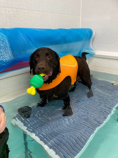 Groovy Grooming and Snazzy swimmers canine hydrotherapy centre