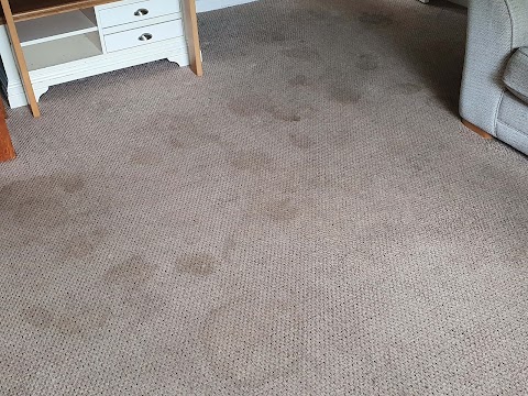 Heaton Carpet Cleaning