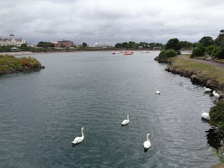 Marine Lake