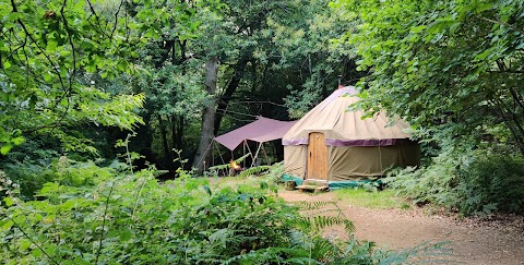 Adhurst Yurts + Adhurst Institute for Artisan and Outdoor Skills