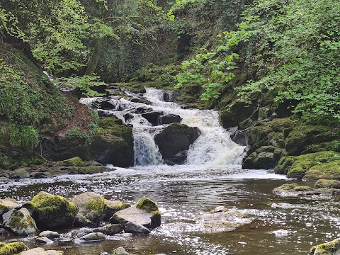 Crumlin Glen