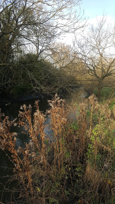 Waye Avenue Open Space