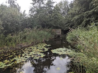 Greenwich Peninsula Wildlife