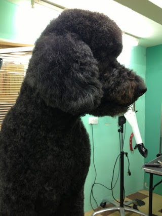 Harefield Pets and Grooming