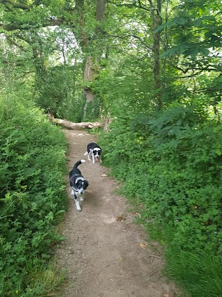 Bircham Valley Local Nature Reserve