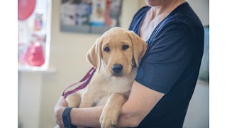 Mearley Veterinary Group