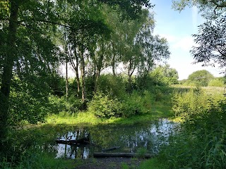 Ramsdale hide