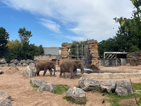 Chester Zoo