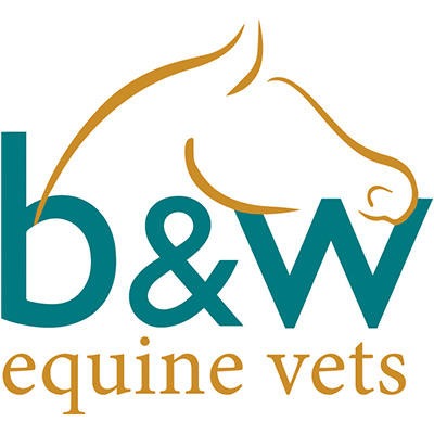 B&W Equine Vets - Failand