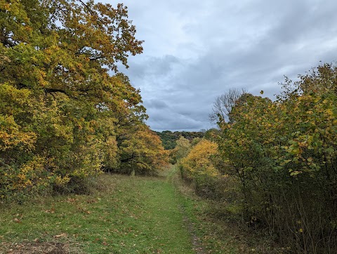 Warburg Nature Reserve Berkshire, Buckinghamshire and Oxfordshire Wildlife Trust