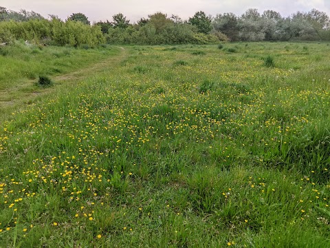 North Wirral Coastal Park