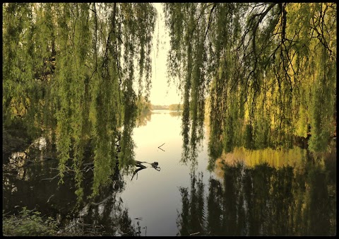 Brookvale Park