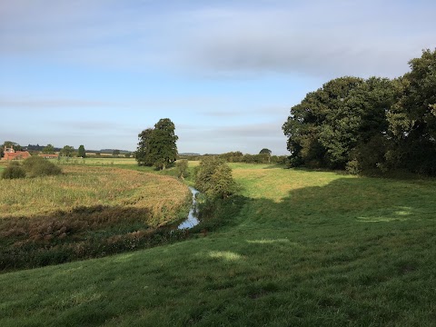 Cuckney Water Meadows