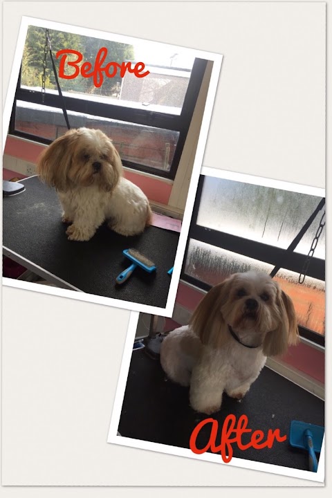 Lulu's Dog Grooming