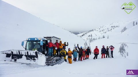 GoldenRide Freeride Company | Freeride catskiing, backcountry and guided tours