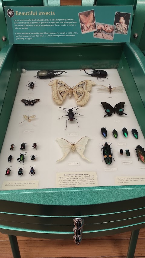 Hunterian Zoology Museum