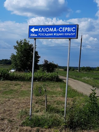 Розсадник ТОВ "Кліома Сервіс"