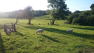 Glan Llyn