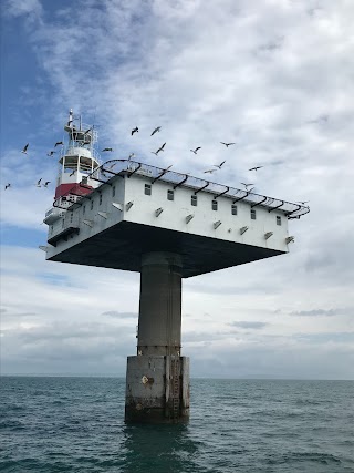 Waterfront Sailing