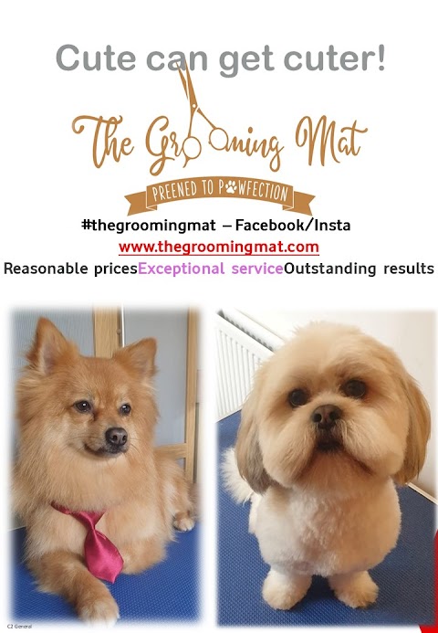 The Grooming Mat