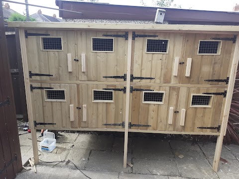 Nest Boxes by James