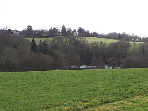 Cinder Hill Equine Clinic