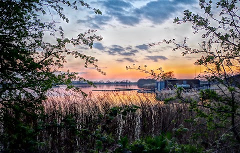 Welton Wake & Ski Club