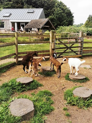 Lawrence Weston Community Farm