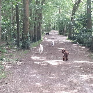 Waterlooville Woof Walks