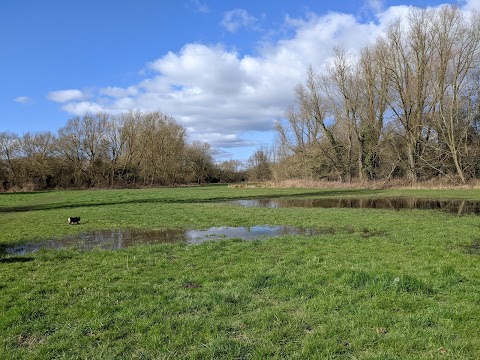 Kirk Hallam Lake & Meadows