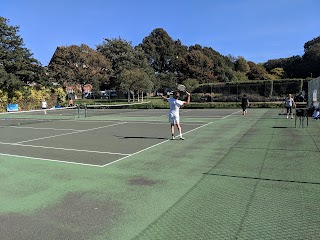 Honeywood Tennis