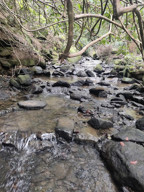 Glen Howe Park