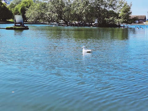 Lake Grounds