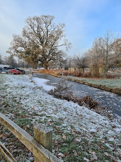 Bushy Park Coffee Kiosk