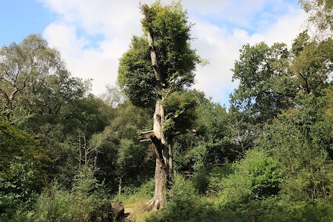 Knypersley Reservoir